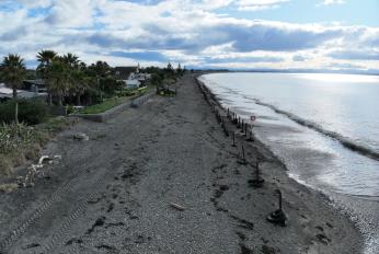 haumoana