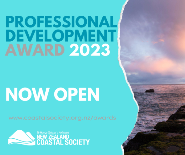 Professional Development Award 2024